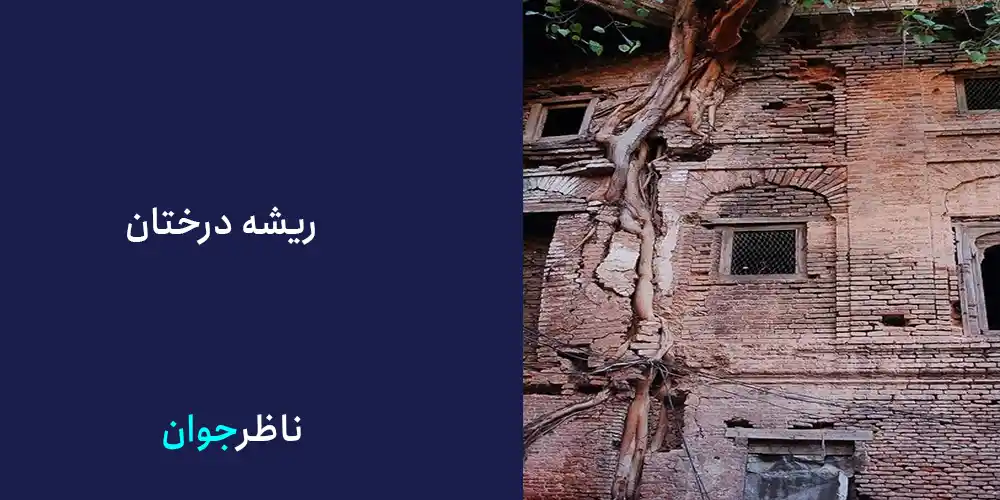 ریشه درختان