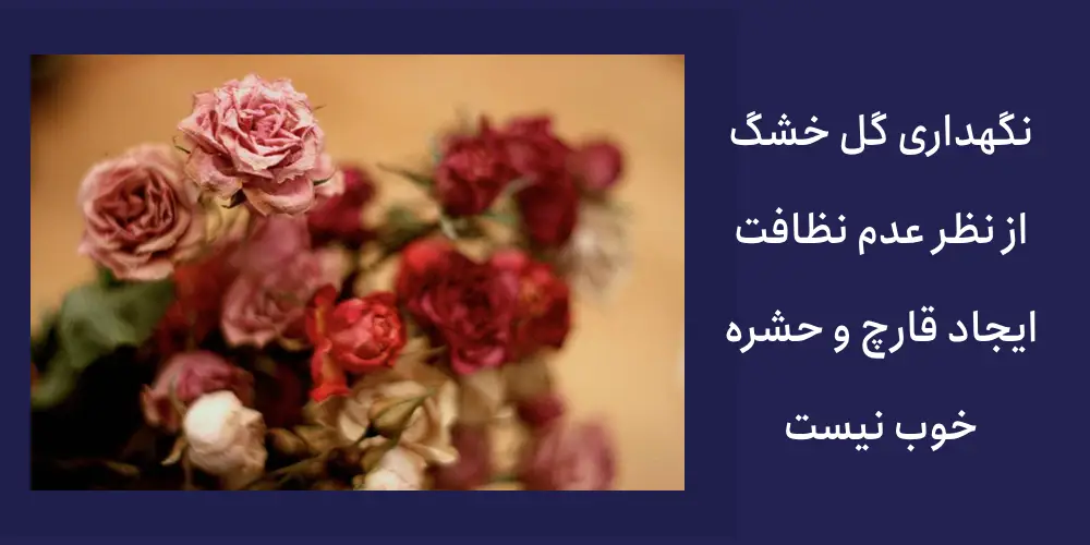 نگهداری گل خشک خوب نیست