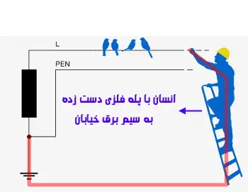 چرا پرندگان دچار برق گرفتگی نمی‌شوند