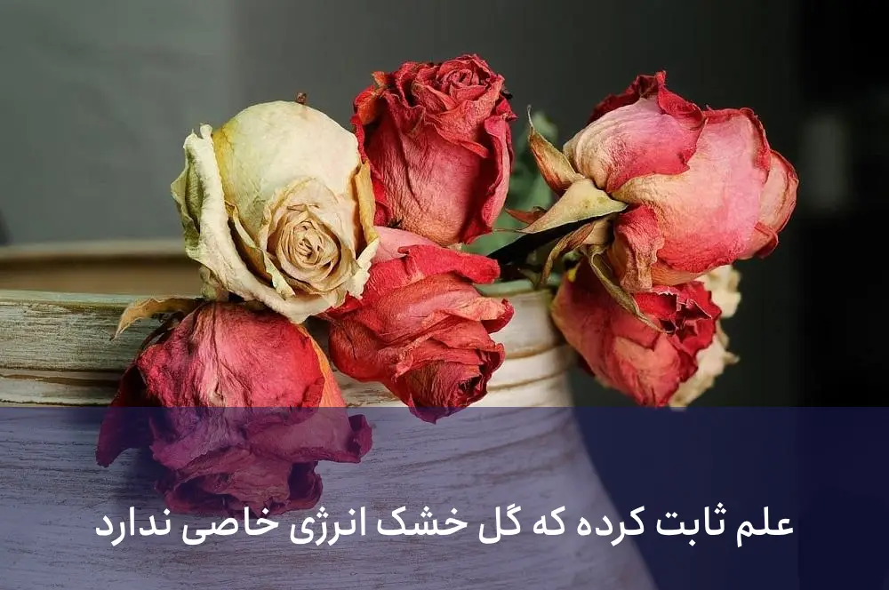 نگهداری گل خشک در خانه در فنگ شویی پس چه میگوید؟