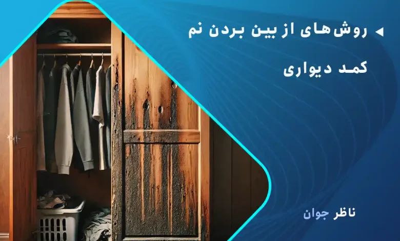 روش‌های از بین بردن نم کمد دیواری